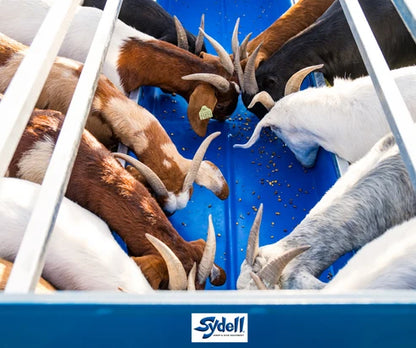 Sydell 2-Sided Horizontal Combination Feeder | 0824HP/0826HP | 25 1/2" Width | For Sheep & Goat