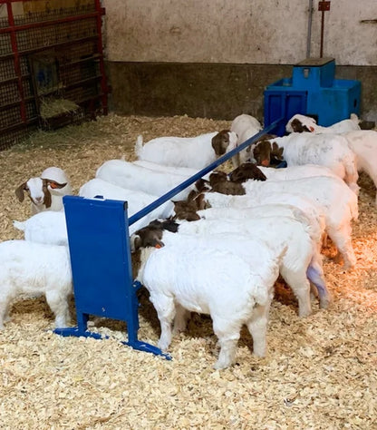 Sydell Bunk/Trough Grain Feeder | #0852F-4 / #0852F | 4' & 7' | Flat Trough | For Sheep & Goats