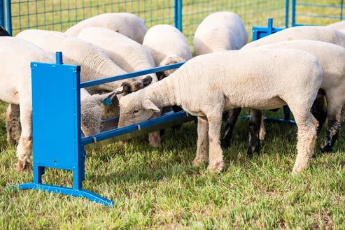 Sydell Trough Grain Feeder | 0852V-4 / 0852V | 4' & 7' | For Sheep & Goat Bunk Feeder