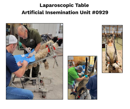 Sydell Laparoscopic Artificial Insemination Table | #0929 | Bed Size 60–69" | For Sheep & Goat Veterinary