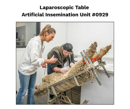 Sydell Laparoscopic Artificial Insemination Table | #0929 | Bed Size 60–69" | For Sheep & Goat Veterinary