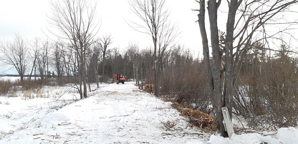 Forax Equipment Extreme Duty Mulcher | Model XD36 | Cutting Width 36" | Carrier 3-6 Ton | For Excavators