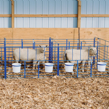 Sydell Freestanding Starter Pen | #0112A | 6' Width | For Sheep & Goat Lambing & Kidding
