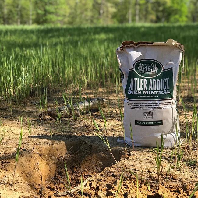 4S Advanced Wildlife Solutions Antler Addict Deer Mineral | Blocks & 25 lb Bags | High‑Potency Chelated Minerals | For Whitetail Deer Growth & Herd Health