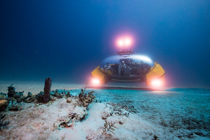 Triton Submarines | Triton 7500/3 | Deep-Sea Submersible