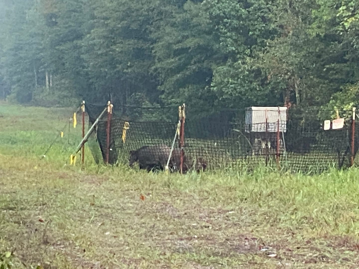 Pig Brig Portable Multi-Catch Wild Hog Trap | Size 20' | Double-Wall Hog Trap Net | Multi-Catch Wild Boar Control