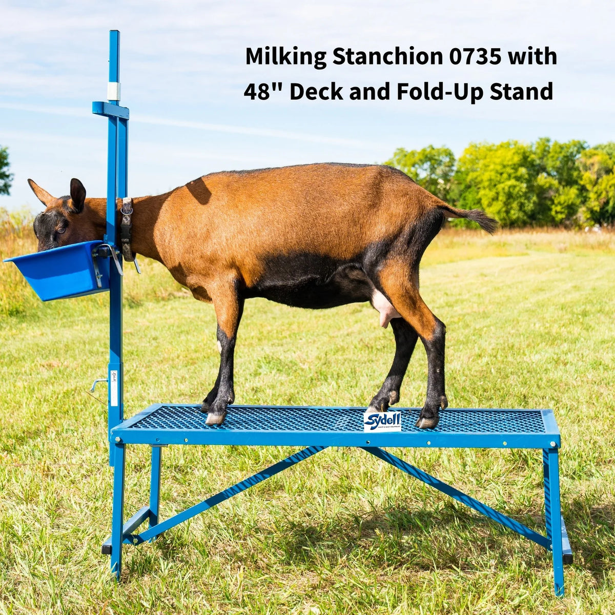 Sydell Milking Stanchion | #0736 | 20" x 48" Deck | Single-Head | Poly Feeder | For Sheep & Goats