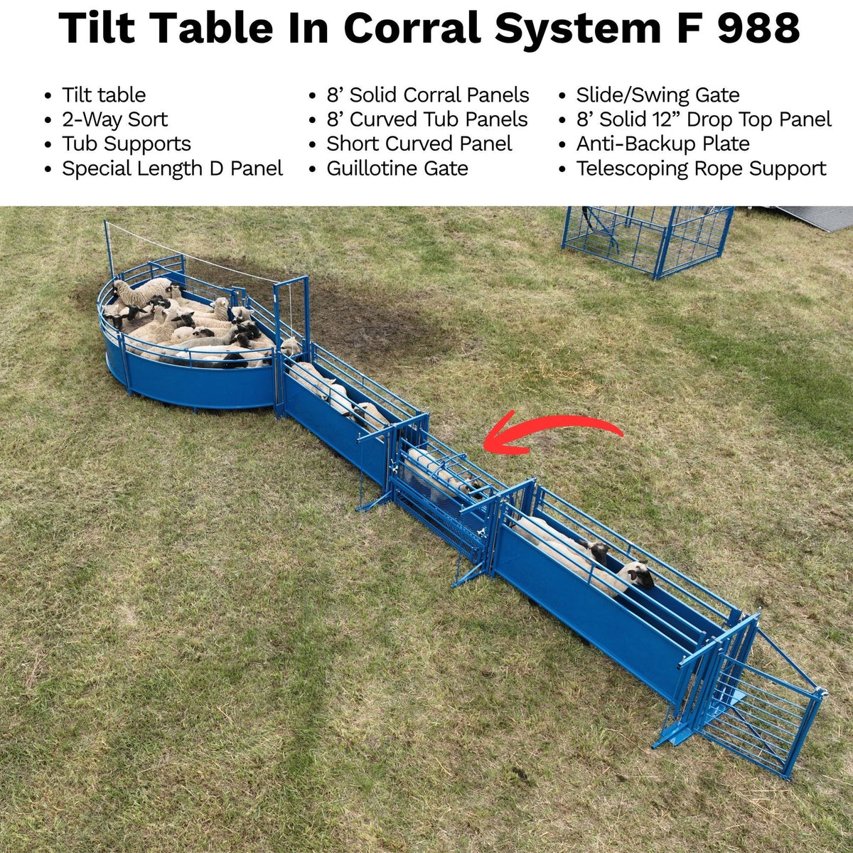 Sydell Tilt Table For Sheep & Goats | #0930 | Width 61" | For 100+ lb Livestock Hoof Trimming