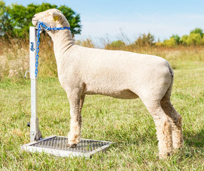 Sydell Aluminum Headpiece | #AL0731-L / #AL0731-S / #AL0730 | Small, Large & Nose Loop | For Sheep & Goats
