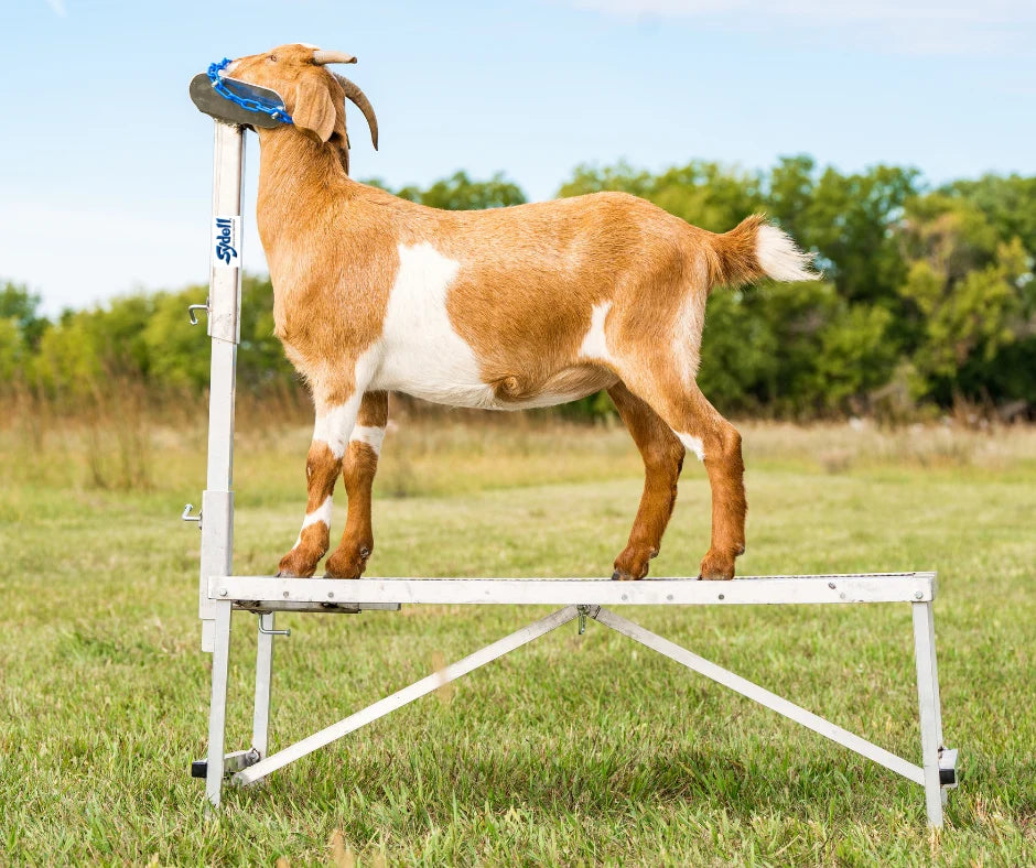 Sydell Aluminum Headpiece | #AL0731-L / #AL0731-S / #AL0730 | Small, Large & Nose Loop | For Sheep & Goats