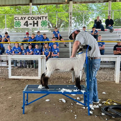 Sydell Fold-Up Fitting Stand | #0705 / #AL0745 | Size 20" x 48" | For Sheep & Goat Show Equipment