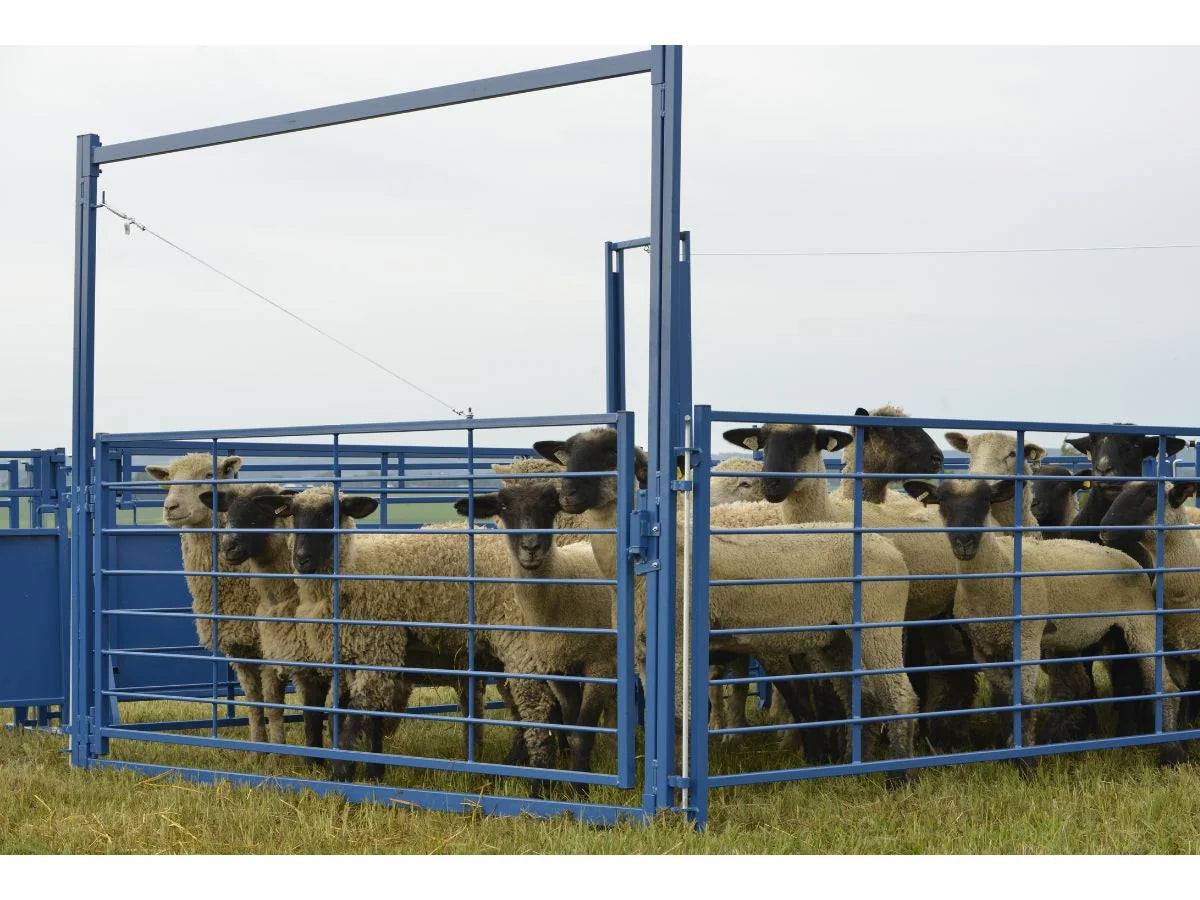 Sydell Holding Pen | #0991PEN | 8' Panels | Complete Working System Add-On | For Sheep & Goat Corral