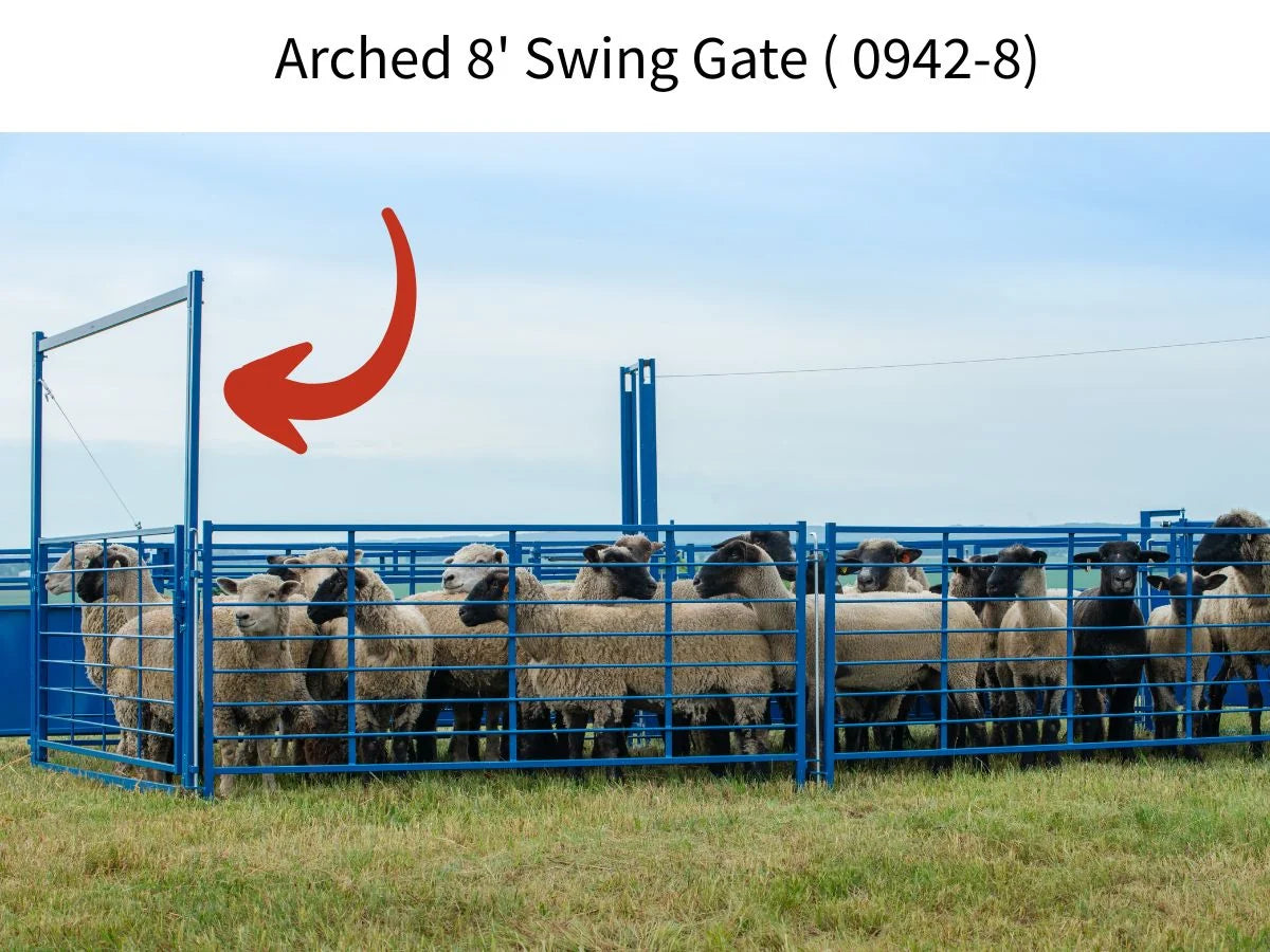 Sydell Holding Pen | #0991PEN | 8' Panels | Complete Working System Add-On | For Sheep & Goat Corral