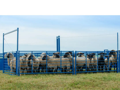 Sydell Holding Pen | #0991PEN | 8' Panels | Complete Working System Add-On | For Sheep & Goat Corral
