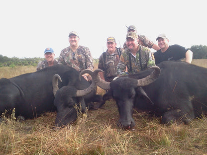 Florida Asian Water Buffalo Hunting Trip