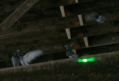 Bird Control Group Pest Systems Autonomic Bird Laser
