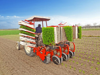 Checchi & Magli Transplanter Baby Trium | 1-6 Rows | 79"-157" Frame Width | 19-55HP For Tractor