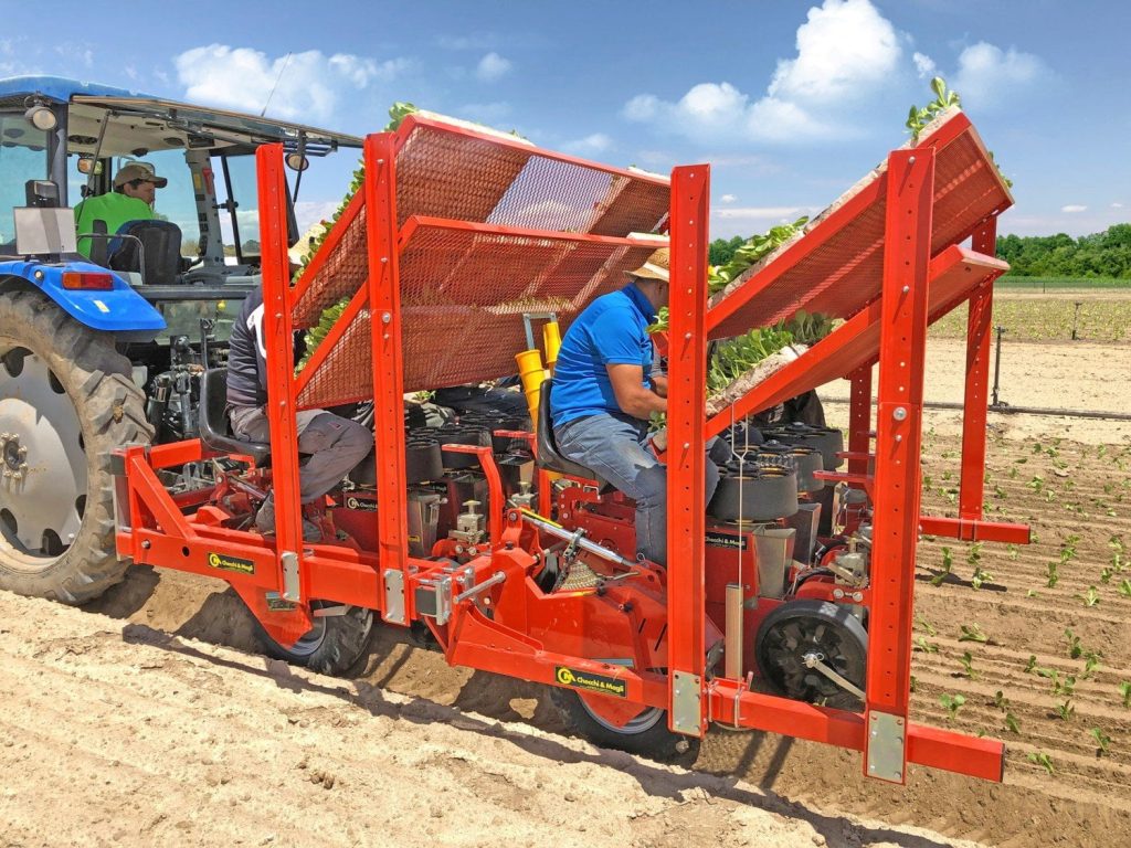 Checchi & Magli Transplanter Baby Trium | 1-6 Rows | 79"-157" Frame Width | 19-55HP For Tractor