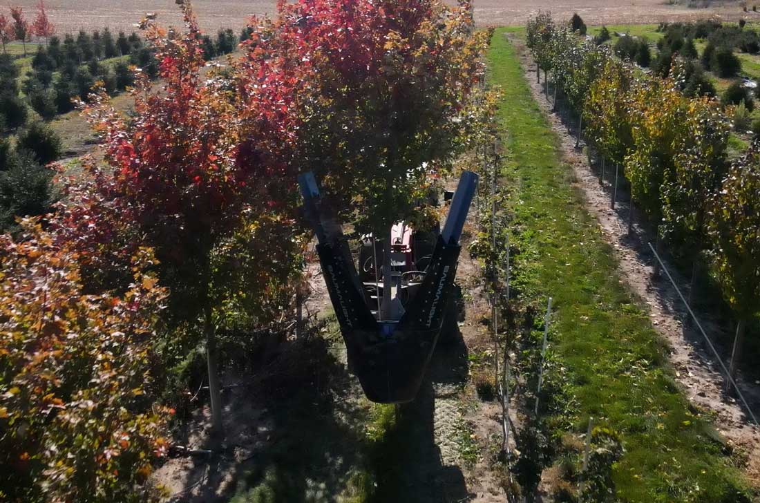 Baumalight Industrial Tree Spade | Model DR-444 | Ball Attachment Size 44" | Horsepower 80-90 HP | Hydraulic Flow 5-20 GPM | For Tractors & Skid Steers