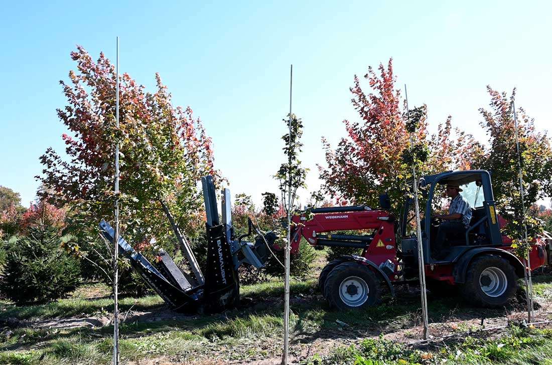 Baumalight Industrial Tree Spade | Model DR-444 | Ball Attachment Size 44" | Horsepower 80-90 HP | Hydraulic Flow 5-20 GPM | For Tractors & Skid Steers