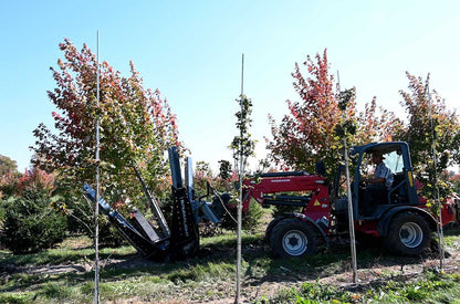 Baumalight Industrial Tree Spade | Model DR-444 | Ball Attachment Size 44" | Horsepower 80-90 HP | Hydraulic Flow 5-20 GPM | For Tractors & Skid Steers