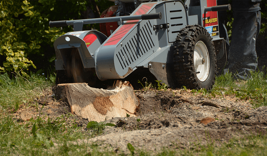 Baumalight Walk Behind Stump Grinder | Model WB44 | 13HP