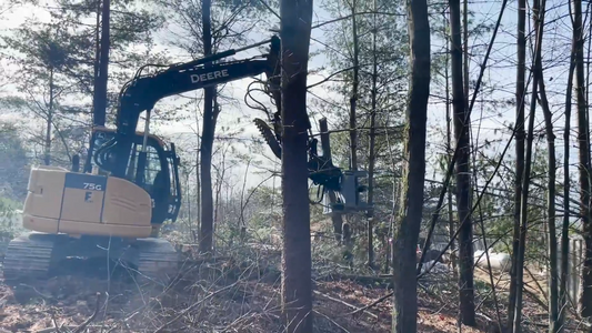 Baumalight Tree Shear | Model IXP508G, IXP510G & IXP512G | Limb Size 8", 10" & 12" | Machine Size 3-20 Tons| For Excavators