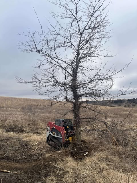 CL Fabrication Challenger Tree Puller | Width 38" inches | Oil Flow Range 15-25 GPM | For Skid Steers