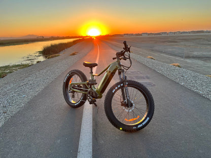 Himiway | Electric Bike | Model D5 2.0 ST (Step-Thru) | 750W Hub Motor | 26 x 4.0” Fat Tires | 65 Mile Range | 400 lb Payload | 90Nm Torque | For Urban Commuting & All-Terrain Adventure