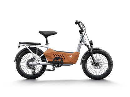 Himiway C3 | Cargo Ebike | 750W Motor | 48V 20Ah Battery