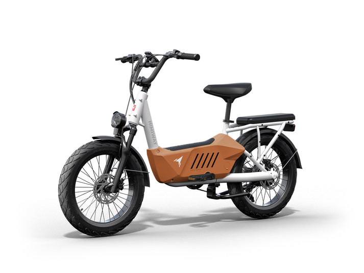 Himiway C3 | Cargo Ebike | 750W Motor | 48V 20Ah Battery