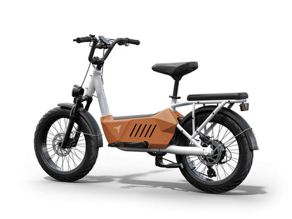 Himiway C3 | Cargo Ebike | 750W Motor | 48V 20Ah Battery