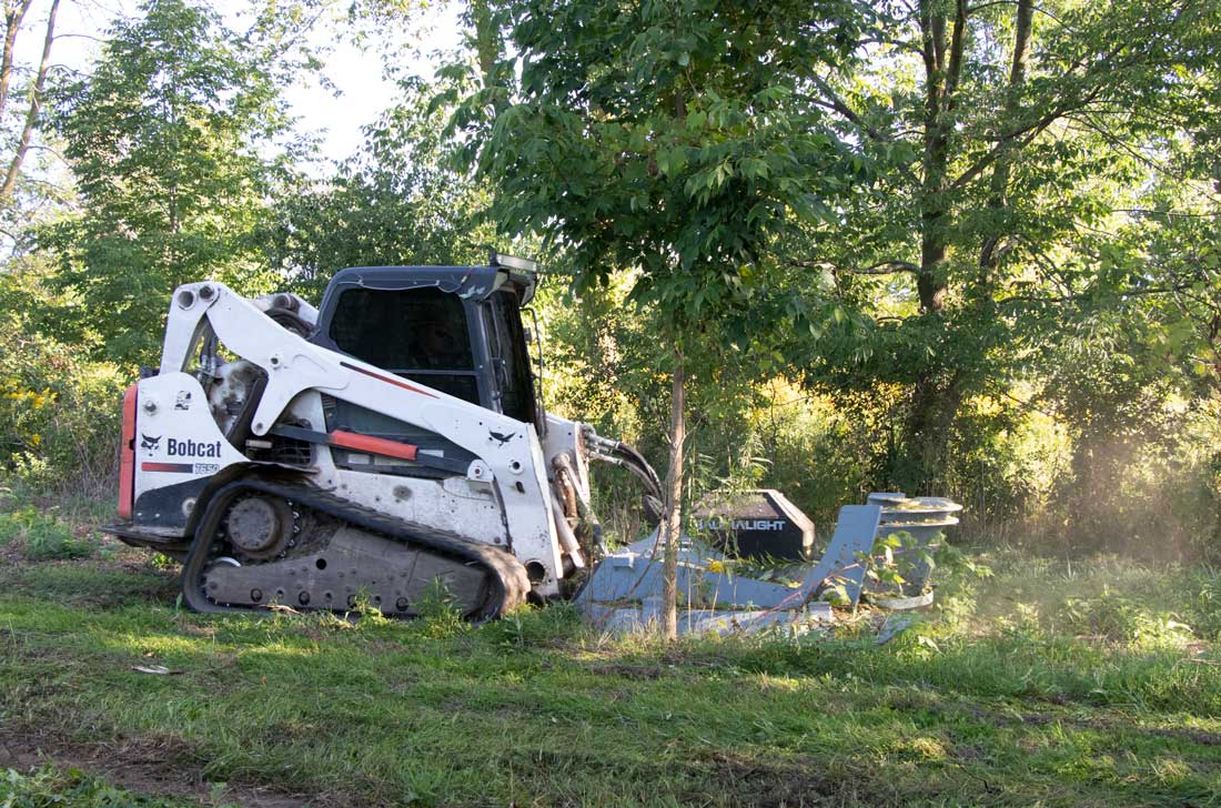 Baumalight Rotary Brush Cutter | CF Series | Cutting Width 60" & 72" | Hydraulic Flow Range 15 To 45 GPM | For Skid Steers