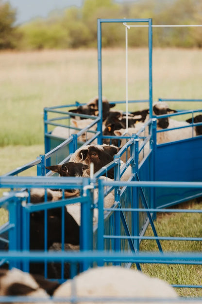 Sydell Complete Corral Working System G | #0989 | 31'6" x 7'10" | For Sheep & Goat Handling System