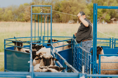 Sydell Complete Corral Working System F | #0988 | 94" Width | 1,170 lb | For Sheep & Goat Handling