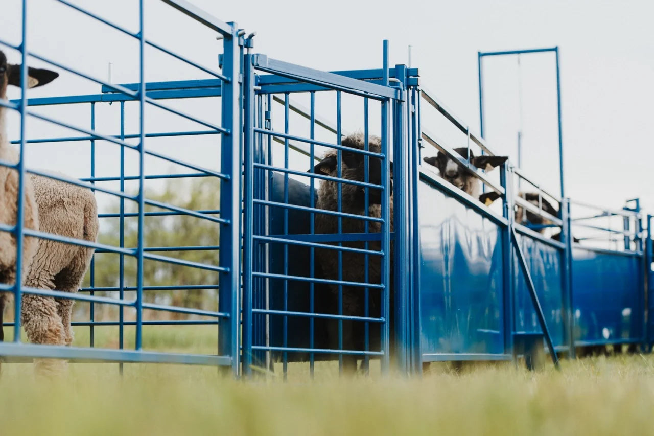 Sydell Complete Corral Working System F | #0988 | 94" Width | 1,170 lb | For Sheep & Goat Handling