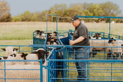 Sydell Complete Corral Working System F | #0988 | 94" Width | 1,170 lb | For Sheep & Goat Handling