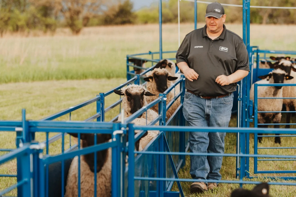 Sydell Complete Corral Working System G | #0989 | 31'6" x 7'10" | For Sheep & Goat Handling System