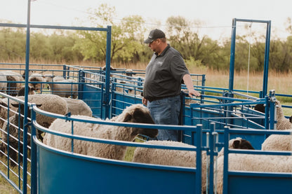 Sydell Slide Swing Gate | #0943-8 / #0943-8-G | 93 3/8" Width | For Sheep & Goat Corral Systems