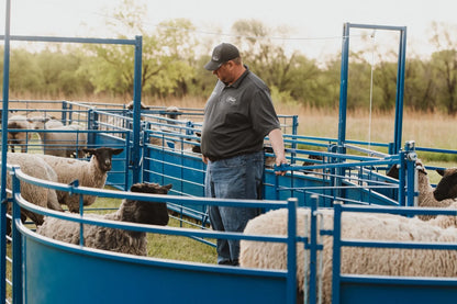 Sydell Slide Swing Gate | #0943-8 / #0943-8-G | 93 3/8" Width | For Sheep & Goat Corral Systems