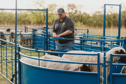 Sydell Slide Swing Gate | #0943-8 / #0943-8-G | 93 3/8" Width | For Sheep & Goat Corral Systems