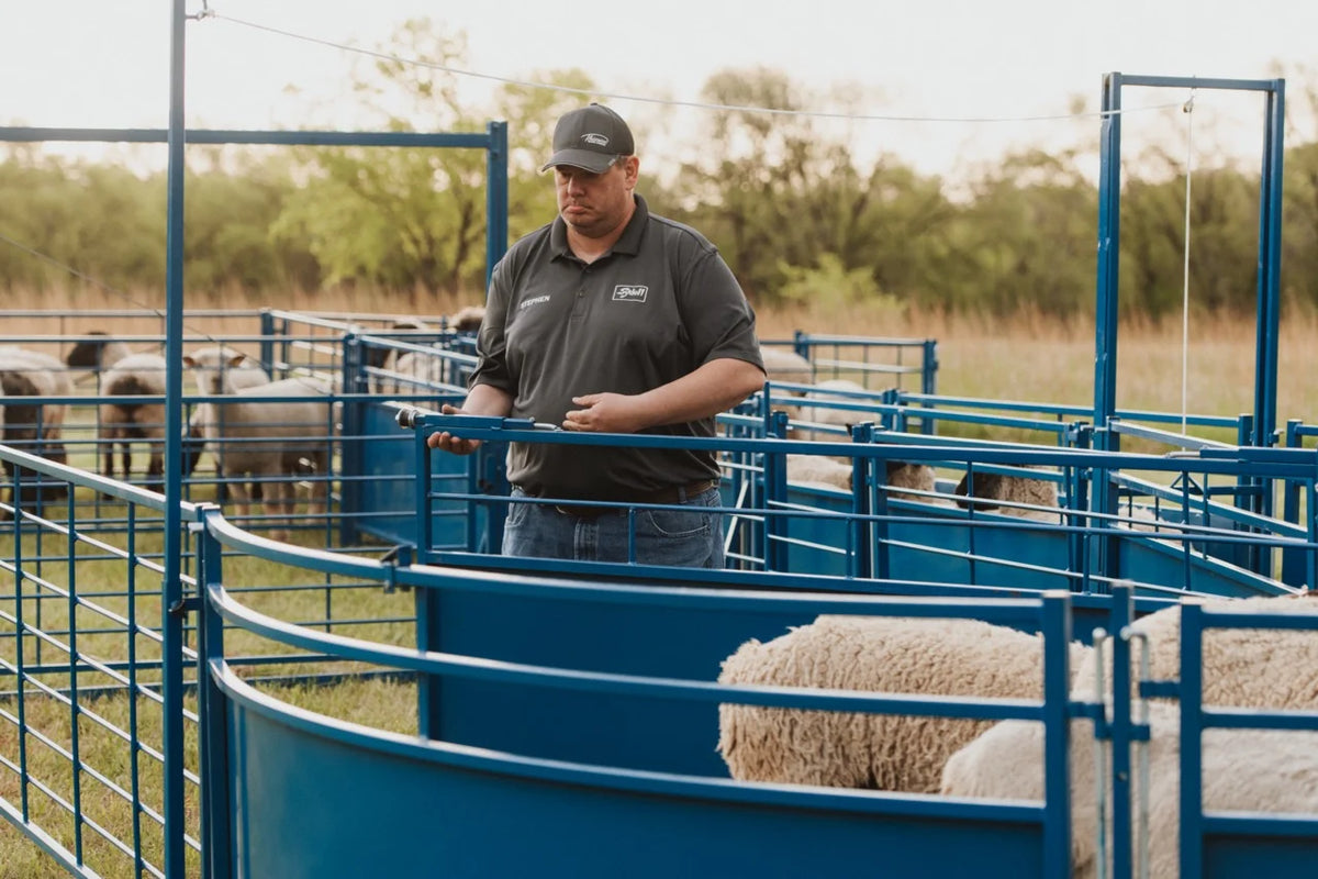 Sydell Slide Swing Gate | #0943-8 / #0943-8-G | 93 3/8" Width | For Sheep & Goat Corral Systems