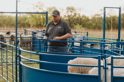 Sydell Slide Swing Gate | #0943-8 / #0943-8-G | 93 3/8" Width | For Sheep & Goat Corral Systems