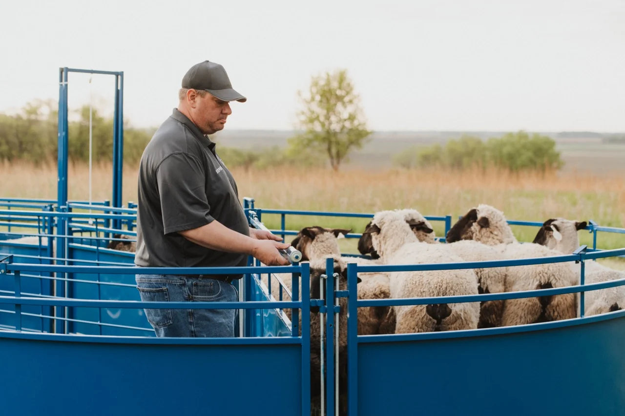 Sydell Slide Swing Gate | #0943-8 / #0943-8-G | 93 3/8" Width | For Sheep & Goat Corral Systems