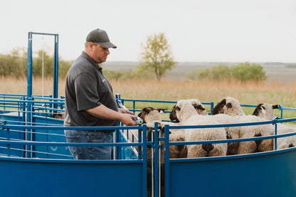 Sydell Slide Swing Gate | #0943-8 / #0943-8-G | 93 3/8" Width | For Sheep & Goat Corral Systems