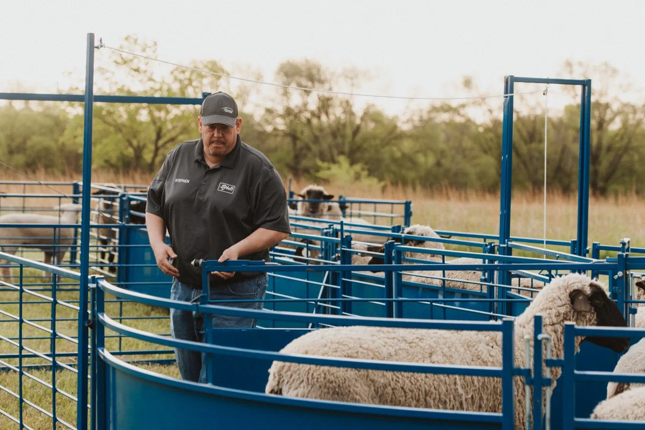 Sydell Corral Working System Tub | #0989TUB | 13'6" L x 7'8" W | For Sheep & Goat Handling