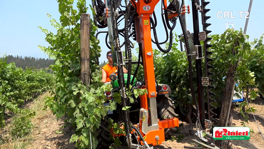 Rinieri Double Sickle Bar Pruning Machine | CRL Tower 2-I Series | Cutting Width 59"-83" inches | Horsepower 50-70 HP | For Tractors