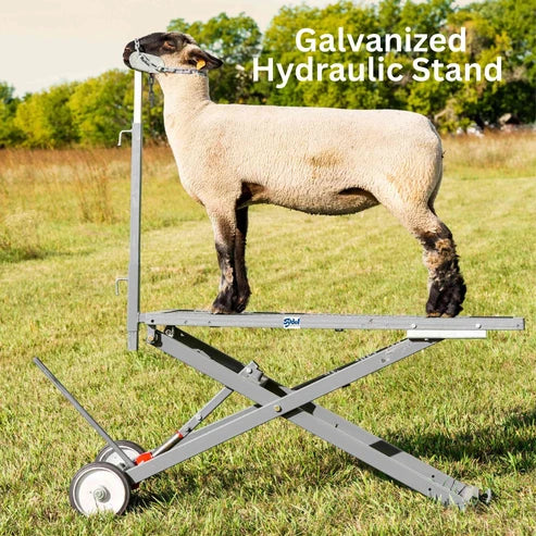 Sydell Hydraulic Stand | #0780 | Deck Size 20" x 48" | For Livestock Show & Grooming