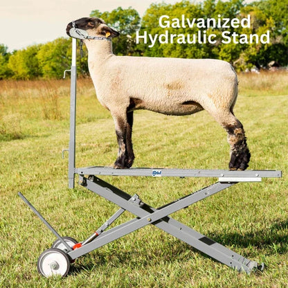 Sydell Hydraulic Stand | #0780 | Deck Size 20" x 48" | For Livestock Show & Grooming