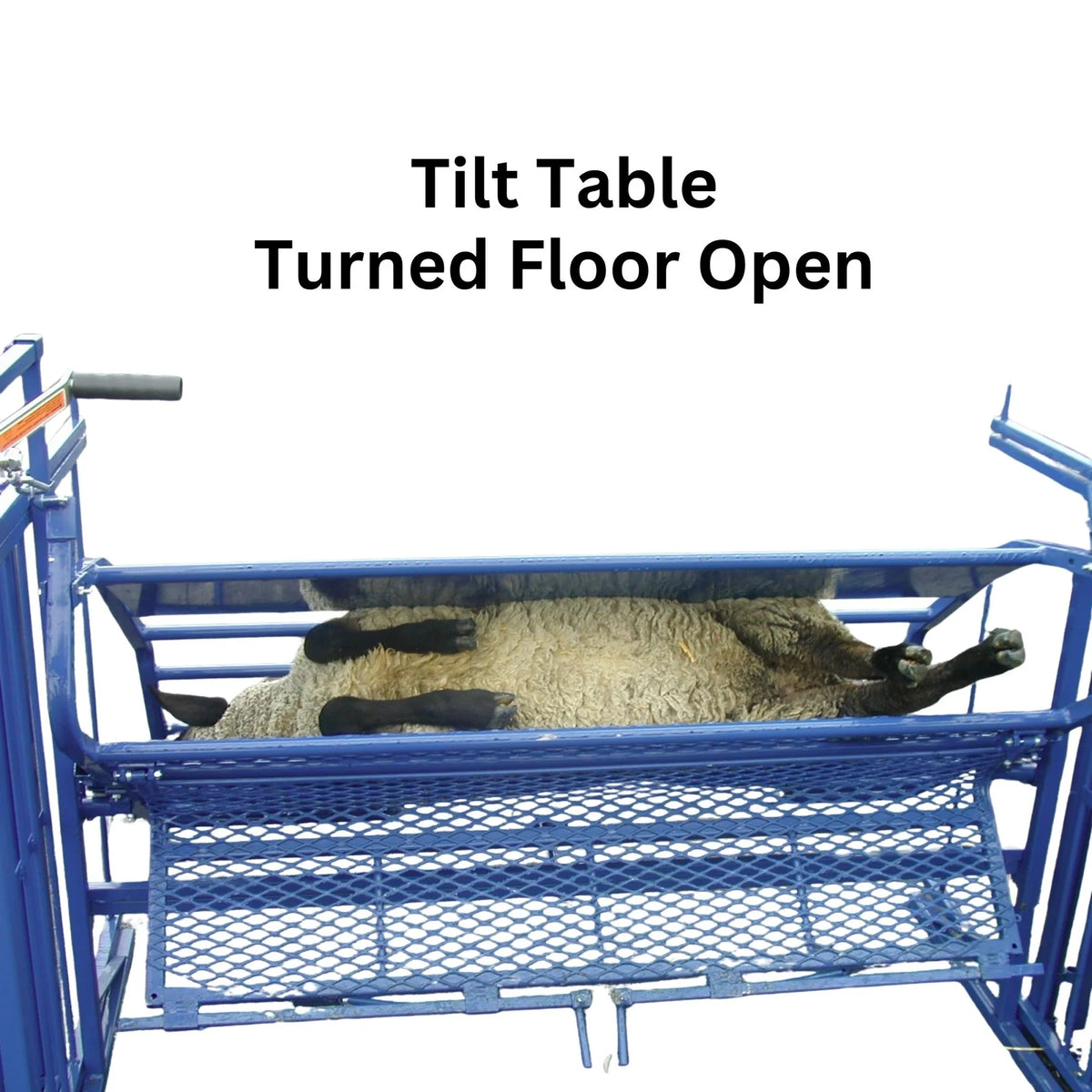 Sydell Tilt Table Power Winch Kit | #0934 | Sheep & Goat Hoof Trimming | For 0930 Tilt Table